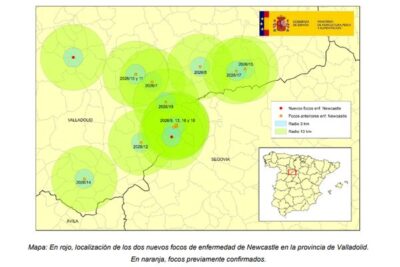 Vacunación obligatoria contra la enfermedad de Newcastle en la zona restringida de Castilla y León