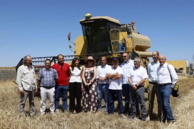 La cosecha de cereal se desploma un 42 % en Castilla y León