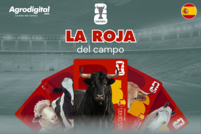 La Roja del Campo: la otra selección española que también juega la final