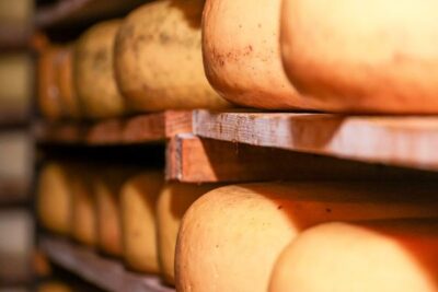 Castilla y León abre una línea de ayudas de 4 M€ para su industria agroalimentaria
