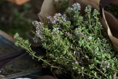 Reconocida Interpam, la nueva interprofesional de plantas aromáticas y medicinales