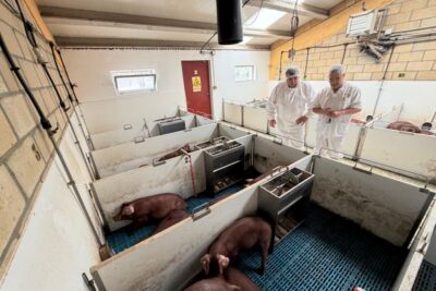 De la granja al laboratorio, así funcionará INTEGRAPOR en Castilla y León