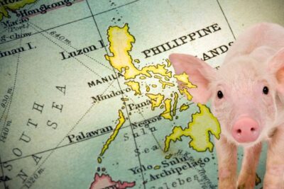 Las exportaciones de cerdo se verán beneficiadas por el acuerdo comercial entre la UE y Filipinas