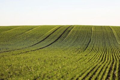 El Congreso respalda la iniciativa de Unión de Uniones para reforzar las herramientas fitosanitarias