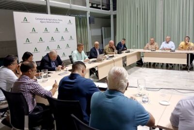Andalucía prevé una campaña de cítricos un 12,7% mayor, con Córdoba y Granada al alza