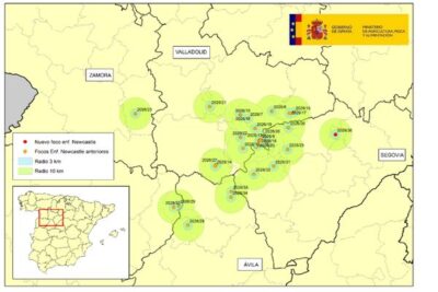 Un nevo foco de la enfermedad de Newcastle eleva a 30 el total en Castilla y León