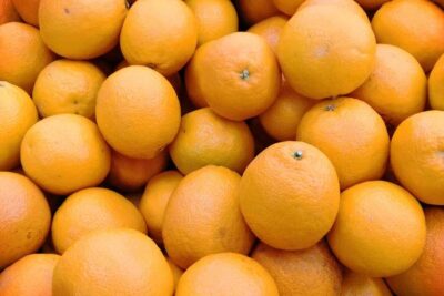 Cítricos: la cosecha remonta un 1,1% tras el peor año en una década