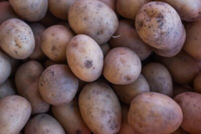 OIPACYL pide prudencia a los productores ante el posible cambio en el mercado de la patata