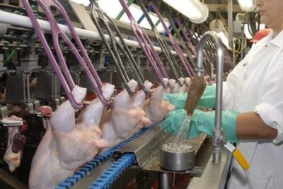 UGT FICA ve un acercamiento de la patronal en el convenio de mataderos de aves y conejos