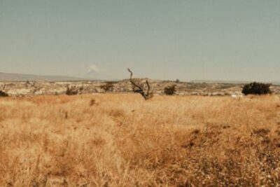 El Gobierno Vasco anuncia ayudas por la sequía